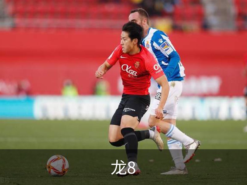 了解龙8